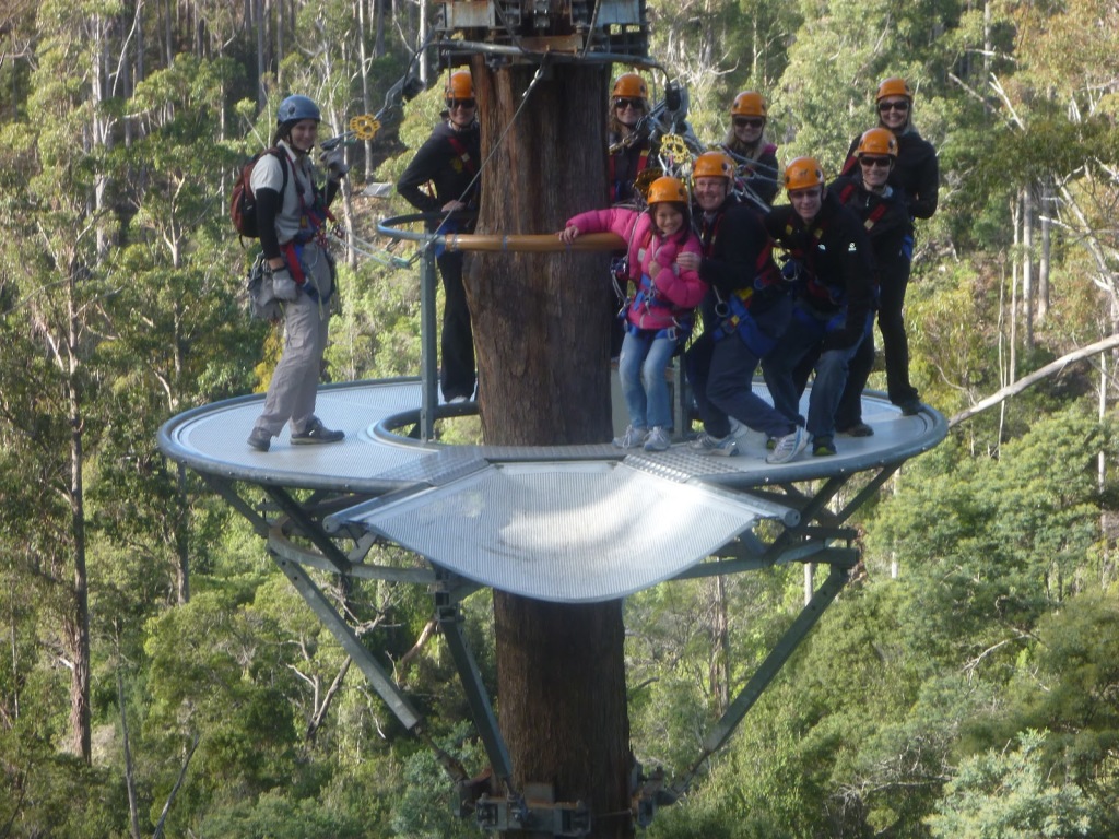 Hollybank Treetops Adventure, cele mai bune tiroliene din lume