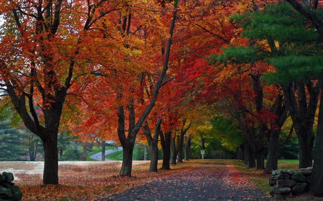New England, destinatii de toamna