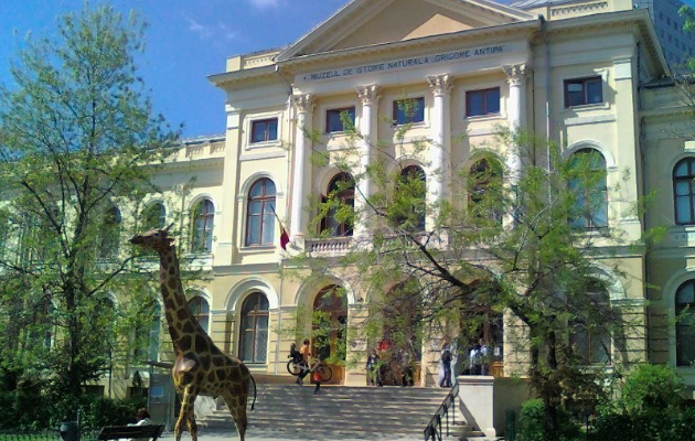 muzeul antipa bucuresti